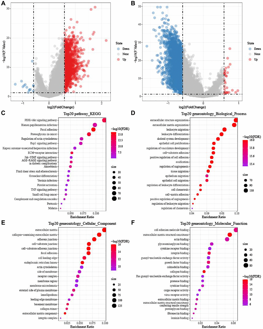 Identification of DEGs in TCGA-OV cohort. (A) Volcano diagram shows DEGs between subtype C1 and others. (B) The DEGs between subtype C3 and others were shown in volcano diagram. Blue dots mean genes with downregulated expression and red dots mean genes with upregulated expression. (C–F) Functional KEGG and GO enrichment analysis between subtype C1 and others.