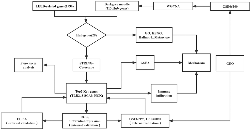 Flowchart of this study.