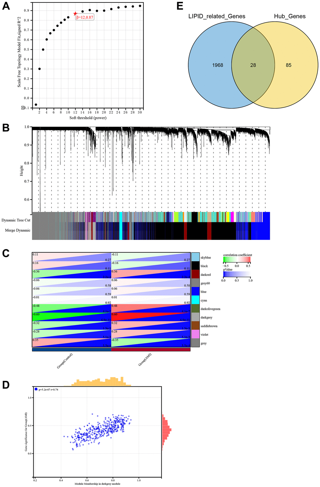 Identification of hub genes related to lipid metabolism in AMI using WGCNA. (A) Soft threshold screening. (B) Eleven modules shown by tree diagram. (C) Correlation heat map showed the relationship between 11 modules and groups (AMI and control). (D) Scatter diagram showed the correlation between the dark grey module and AMI. (E) Venn diagram showed the intersection of 113 genes and lipid metabolism related genes.