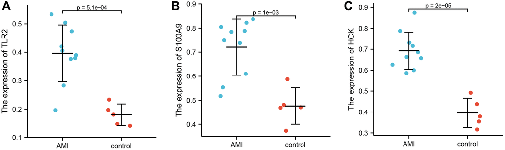 Differential expression of TLR2, S100A9, and HCK using ELISA. (A) Differential expression of TLR2 between AMI and control. (B) Differential expression of S100A9 between AMI and control. (C) Differential expression of HCK between AMI and control.