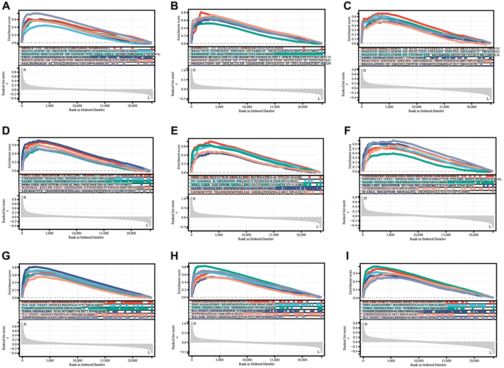 TLR2, S100A9, and HCK enrichment analyses of BP (A–C), KEGG (D–F), and Hallmark (G–I).