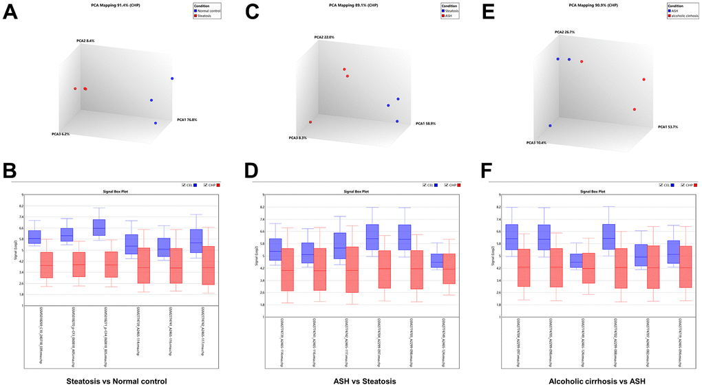 Background correction and normalization of differential genes in alcoholic liver disease. (A) PCA mapping of differential genes in alcoholic fatty liver samples compared with normal samples. (B) Normalization of differential genes in alcoholic fatty liver samples compared with normal samples. (C) PCA mapping of differential genes in alcoholic hepatitis samples compared with alcoholic fatty liver samples. (D) Normalization of differential genes in alcoholic hepatitis samples compared with alcoholic fatty liver samples. (E) PCA mapping of differential genes in alcoholic cirrhosis samples compared with alcoholic hepatitis samples. (F) Normalization of differential genes in alcoholic cirrhosis samples compared with alcoholic hepatitis samples.