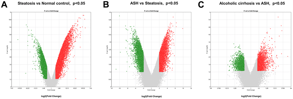 Analysis of differential gene expression in alcoholic liver disease. (A) DEGs1: Volcanic map of differential gene comparison between alcoholic fatty liver samples and normal samples. (B) DEGs2: Volcanic map of differential gene comparison between alcoholic hepatitis samples and alcoholic fatty liver samples. (C) DEGs3: Volcanic map of differential gene comparison between alcoholic cirrhosis and alcoholic hepatitis samples.