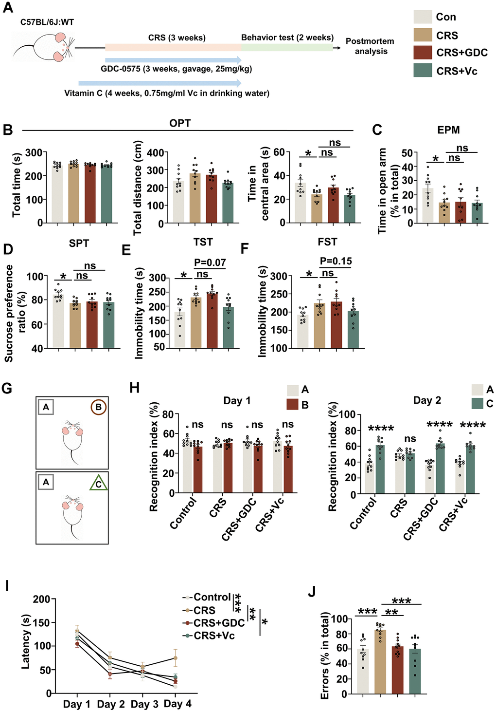 Chronic stress induces cognitive deficits in mice, which could be prevented by vitamin C and Chk1 inhibitor. (A) Schematic diagram for establishing chronic restraint stress model and treatment with vitamin C or Chk1 inhibitor. (B) The total time (s, left), distance (cm, middle) and time in central area (s, right) in open field test. (C) The time spending in open arm (%) in elevated plus maze test. (D) The sucrose preference ratio (%) in sucrose preference test. (E) The immobility time (s) in tail suspension test. (F) The immobility time (s) in forced swimming test. (G) The experimental design of novel object recognition test. Above is the training trial, below is the testing trial (after 24 hours). (H) Left: the recognition index to object A and object B in the training trial; Right: the recognition index to object A and object C in the testing trial. (I) The latency of the mice to find the target holes on different training day in Barnes maze test. (J) Errors (explore incorrect holes) (% in total) in the probe trial of Barnes maze test. All data represent mean ± SEM, n=10 per group, *PPP P