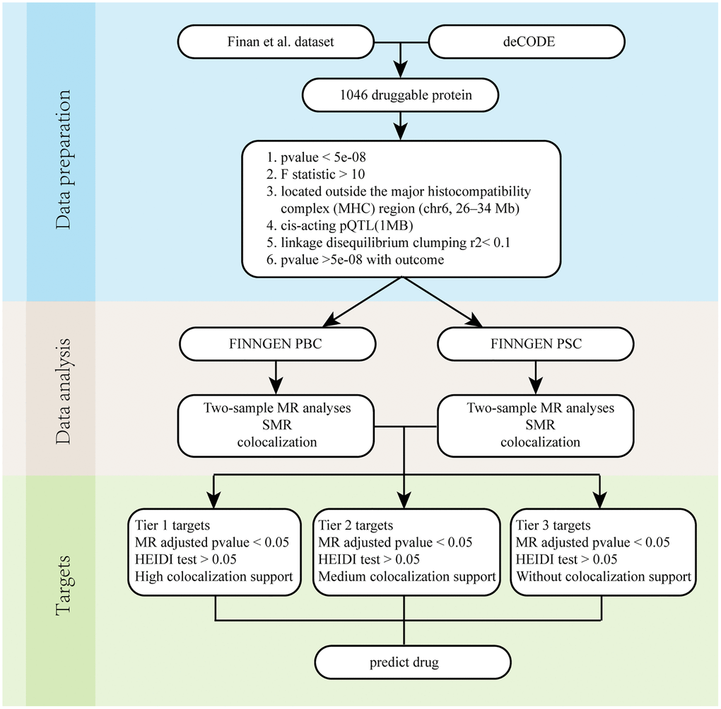 Overall flow chart. Abbreviations: PBC: Primary biliary cholangitis; PSC: Primary sclerosing cholangitis; SMR: Summary-data-based Mendelian randomization.