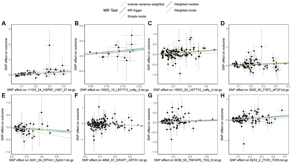 Scatter plots of Mendelian randomization (MR) results on PBC. (A) Scatter plot of MR results for HSPB1 and PBC; (B) Scatter plot of MR results for LEFTY2 with primer 15503
