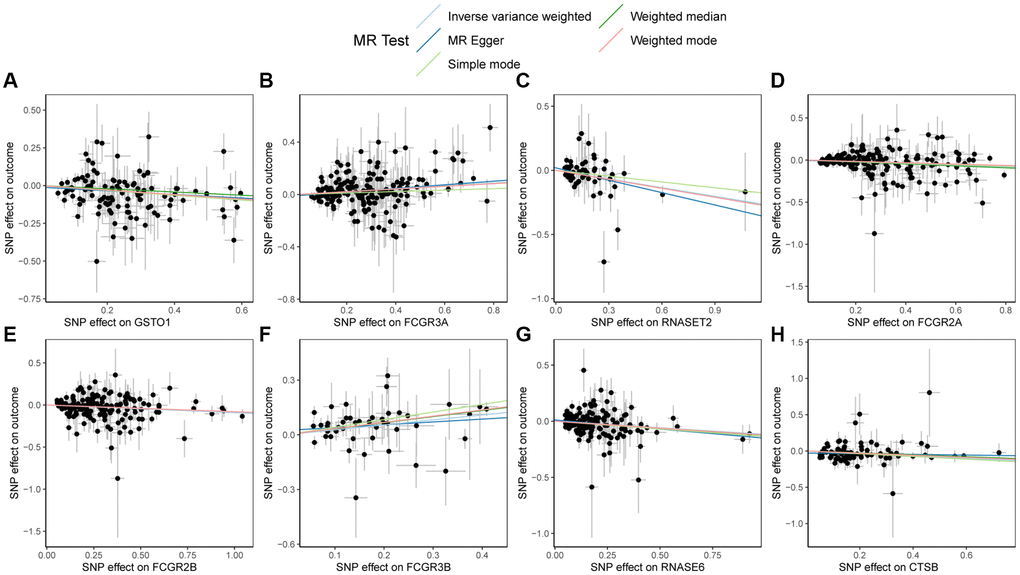 Scatter plots of Mendelian randomization (MR) results on PSC. (A) Scatter plot of MR results for GSTO1 and PSC; (B) Scatter plot of MR results for FCGR3A and PSC; (C) Scatter plot of MR results for RNASET2 and PSC; (D) Scatter plot of MR results for FCGR2A and PSC; (E) Scatter plot of MR results for FCGR2B and PSC; (F) Scatter plot of MR results for FCGR3B and PSC; (G) Scatter plot of MR results for RNASE6 and PSC; (H) Scatter plot of MR results for CTSB and PSC. Abbreviations: MR: Mendelian randomization; PSC: primary sclerosing cholangitis.