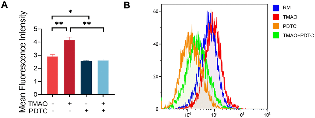 TMAO increased ROS levels in RAW 264.7 cells during osteoclast differentiation. (A) RAW 264.7 cells were stimulated with RANKL and M-CSF for 4 days and then probed with 10 μM DCFH-DA for 30 min after being treated with TMAO or/and PDTC. TMAO treatment led to increased fluorescence intensity of ROS in RAW 264.7 cells, and PDTC treatment decreased TMAO-induced ROS generation (n = 5 per group). * p p B) The ROS production in RAW 264.7 cells after being treated with TMAO or/and PDTC was detected by FCM. RM: RANKL and M-CSF.