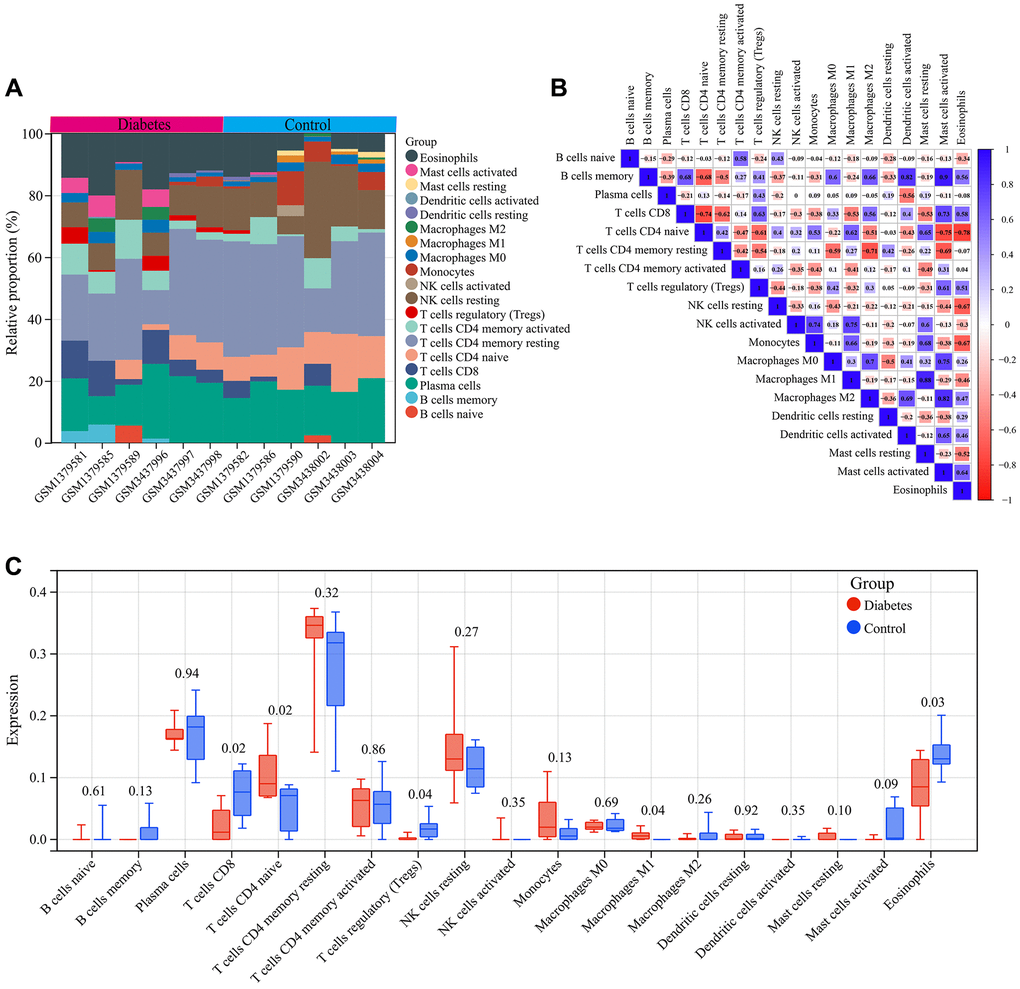 Immune infiltration analysis. (A) Bar graph of immune cell infiltration in each vascular sample. (B) Correlation between 19 characteristic immune cells. (C) Comparison of the infiltration of 19 immune cell types in the vascular samples of the diabetes and control groups.
