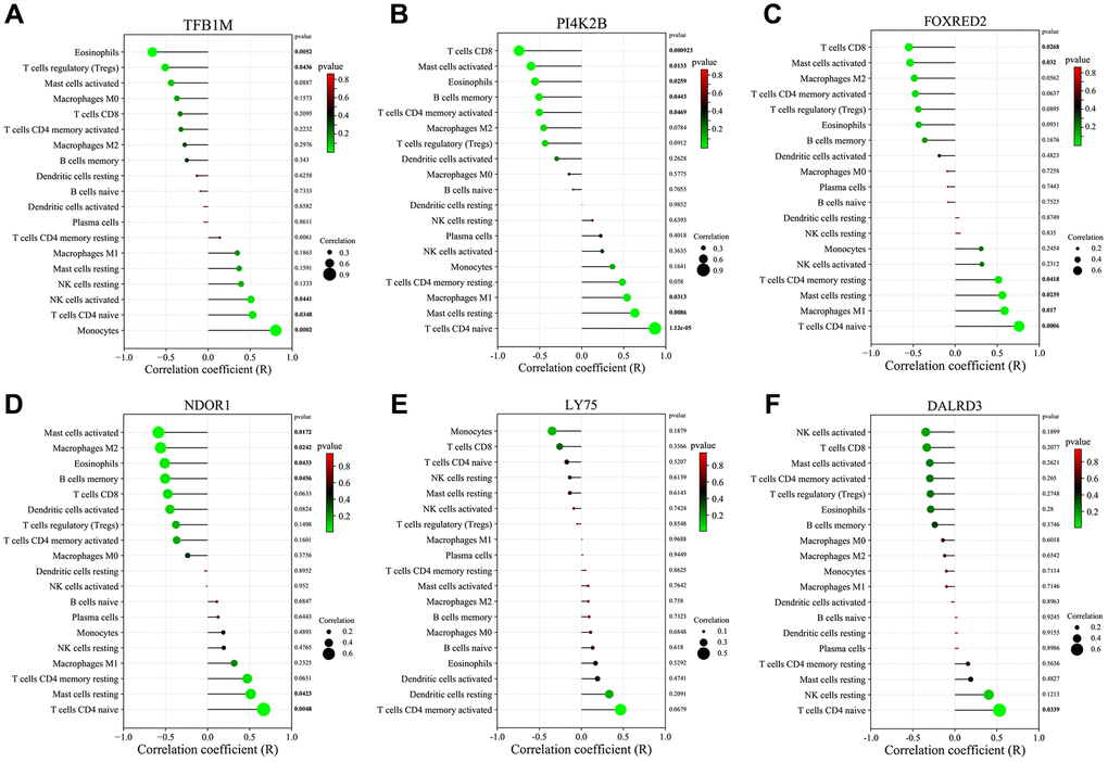 Correlation of key genes related to diabetic vascular aging with immune cell infiltration. (A) TFB1M1. (B) PI4K2B. (C) FOXRED2. (D) NDOR1. (E) LY75. (F) DALRD3.