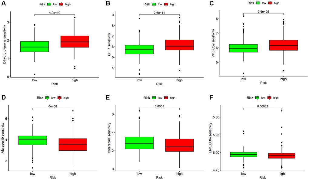 Drug sensitivity analysis. (A–C) Predicted sensitivity scores Dihydrorotenone, OF-1, and Wnt-C59 were candidates for chemotherapy in patients with high-risk scores. (D–F) Afutib, Cytarabine, and ERK6604 were candidates for chemotherapy in patients with high-risk scores. *p *p *p 