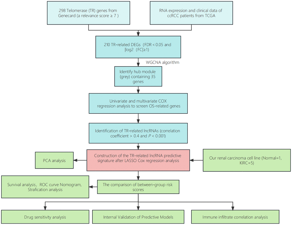 Step diagram of the study. Abbreviations: ccRCC: renal clear cell carcinoma; TCGA: Cancer Genome Atlas; DEGs: differentially expressed genes; lncRNAs: long non-coding RNAs; ROC: receiver operating characteristic; PCA: principal component analysis.