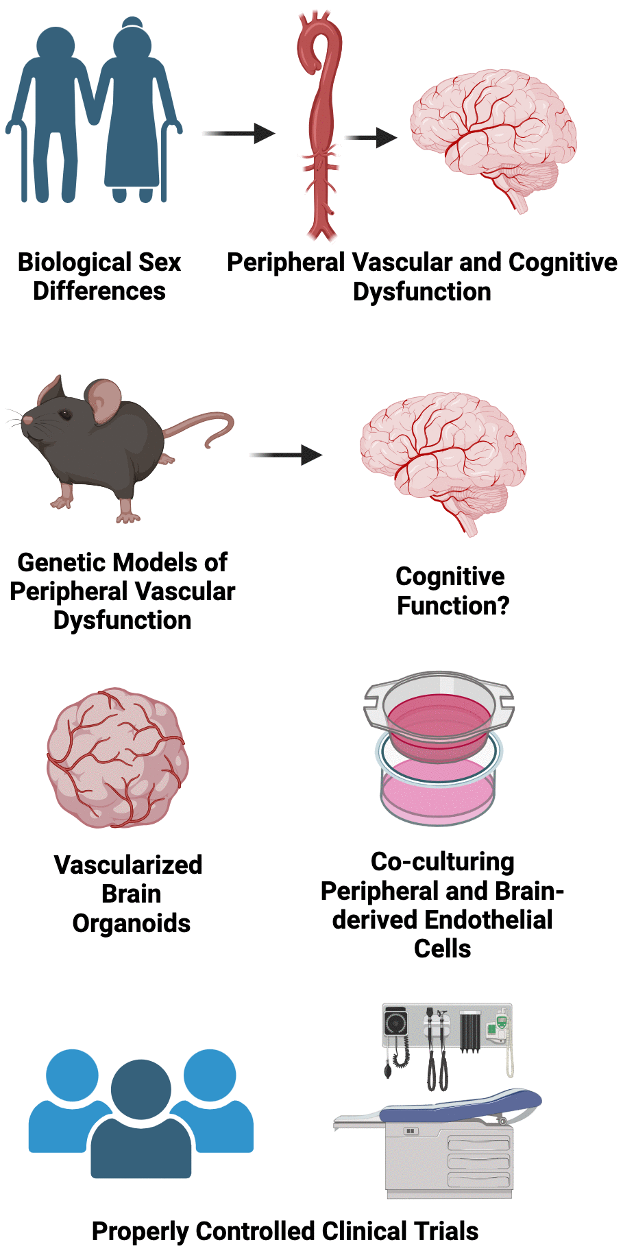 Conclusions, research gaps, and suggested future directions.