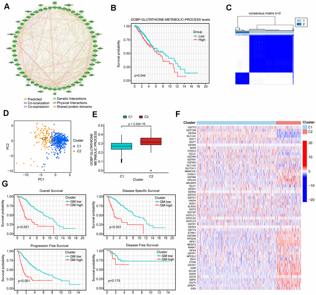 glutathione methylation block METHYLATION & MTHFR