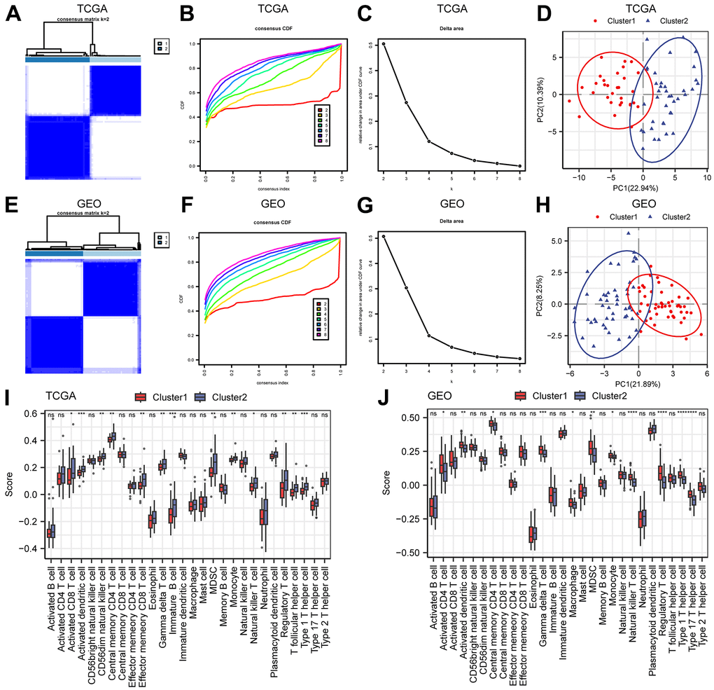 Construction of molecular subtypes. (A–C) The consistency clustering heatmap (A), consistency clustering cumulative distribution map (B), and consistency clustering Delta (C) of ESCC samples in the TCGA-ESCC dataset. (D) PCA diagram of TCGA-ESCC molecular subtypes. (E–G) Consistency clustering heatmap (E), consistency clustering cumulative distribution map (F), and consistency clustering Delta (G) of the merged GEO dataset. (H) PCA diagram of molecular subtypes in the merged GEO dataset. (I, J) Comparison of immune infiltration groups for different clusters in the TCGA-ESCC dataset (I) and the merged GEO dataset (J). Ns stands for P≥0.05, * for P