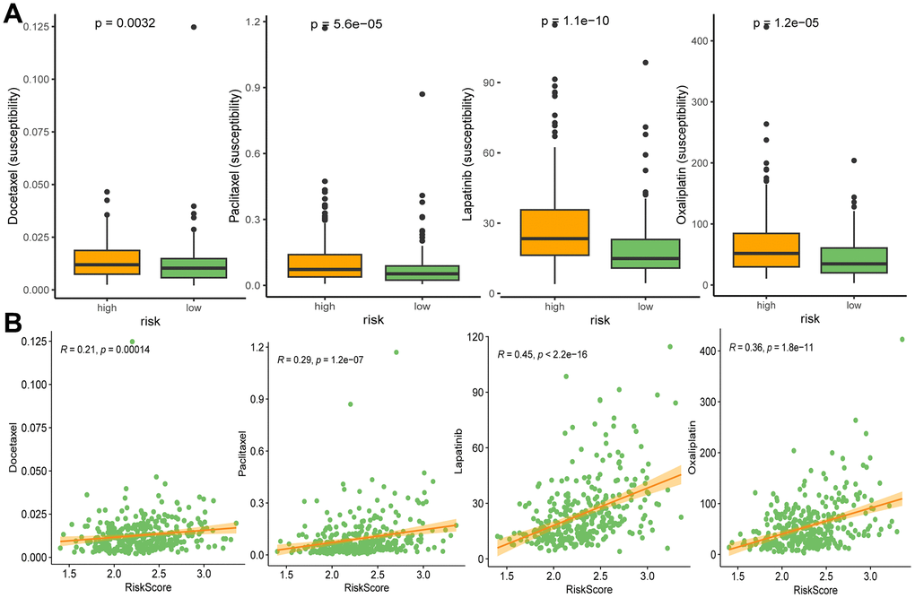 Drug susceptibilities in different risk groups (A), and associations between drug susceptibility and risk score (B). Docetaxel, paclitaxel, lapatinib, and oxaliplatin are ranked from left to right.