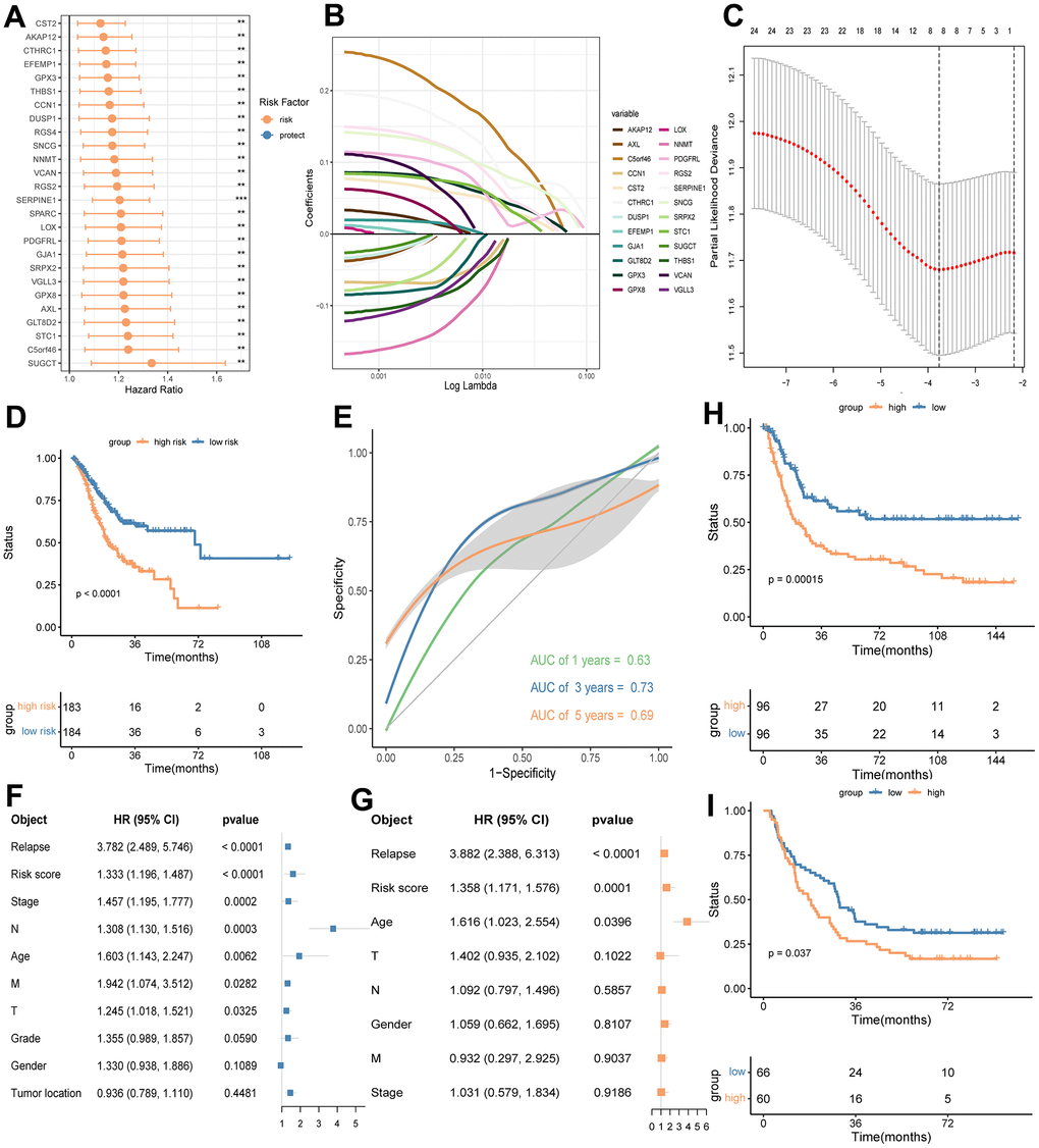 Identifying a prognostic eight-gene signature base on DEGs between the high and low CD8+ TSTR groups in GC. (A) HR forest plot of prognostic genes identified by a multivariate cox analysis. HR > 1 indicates risk factors. HR B) Partial likelihood deviance coefficient profiles. (C) LASSO of the DEGs. Eight genes with the strongest predicting power are identified. (D) OS analysis for the high and low risk groups using the TCGA-GC training cohort. (E) ROC curves for 1, 3 and 5 years survival predictions using the eight-gene signature. (F) Multivariate cox regression analysis shows risk score of the eight-gene signature and other prognosis-related clinic factors. (G) Univariate cox regression analysis shows risk score of the eight-gene signature and other prognosis-related clinic factors. (H) OS analysis for the high and low risk groups using GSE15459-GC cohort. (I) OS analysis for the high and low risk groups using GSE29272-GC cohort.