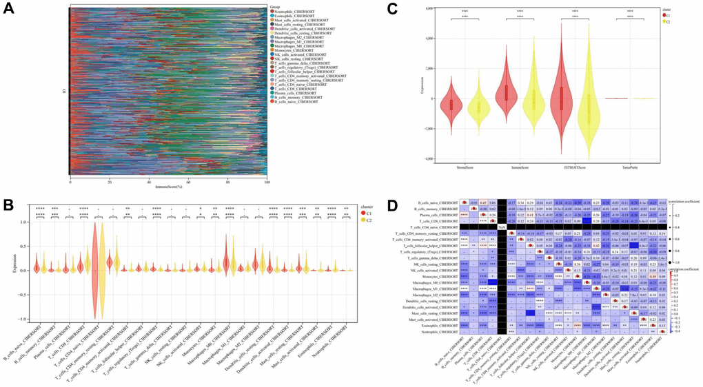 Immune cell infiltration analysis. (A) Stack diagram of immune cell infiltration. (B) Violin diagram of immune cell infiltration between cluster C1 and cluster C2. (C) Violin diagram of immune score between cluster C1 and cluster C2. (D) Heatmap of correlation analysis between immune cells. * represents P ** represents P *** represents P **** represents P 
