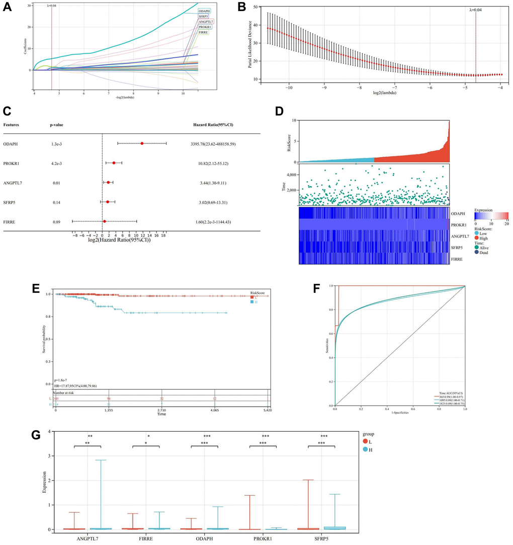 Construction and verification of prognostic model. (A) LASSO coefficient map of the prognostic genes. (B) After ten cross-verifications, the LASSO model of parameter selection is adjusted with minimum absolute shrinkage and selection. (C) Forest plot of the prognostic genes. (D) Heatmap of risk score. (E) Kaplan-Meier of high and low-risk group. (F) Predictive value of Cox prognostic model in THCA patients evaluated by ROC curves. (G) Box diagram of the prognosis genes expression in the high and low-risk groups.