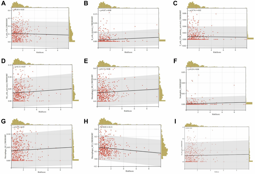 Relationship between risk scores and immune cell infiltration. (A) CD8+ T cells; (B) Memory B cells; (C) Activated memory CD4+ T cells; (D) Activated NK cells; (E) M0 macrophages; (F) Neutrophils; (G) M1 macrophages; (H) M2 macrophages; (I) Naïve B cells.
