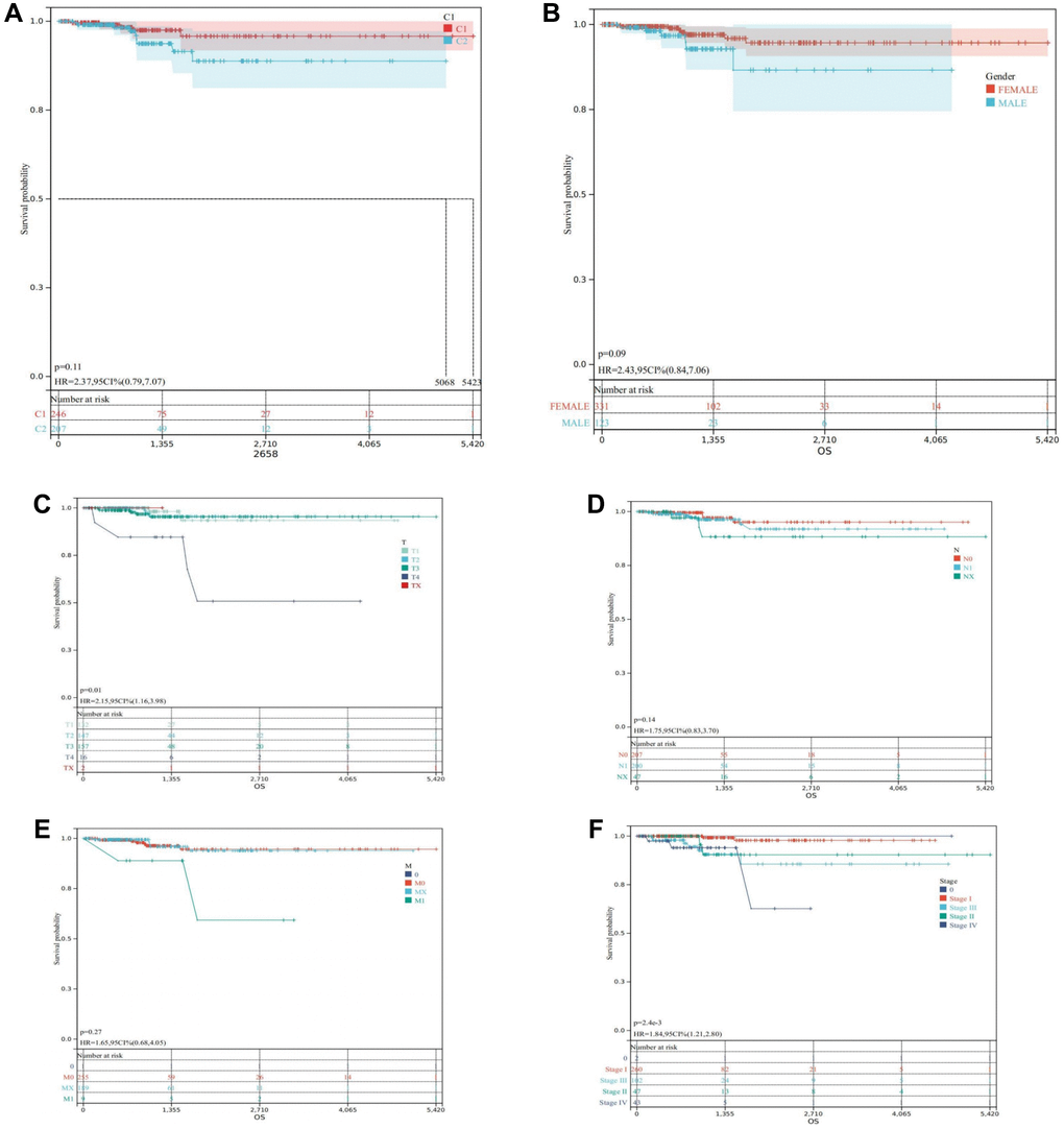Survival analysis in the TCGA-THCA. (A) Kaplan-Meier of the two clusters. (B) Kaplan-Meier of THCA patients regrouped according to Gender. (C) Kaplan-Meier of THCA patients regrouped according to T. (D) Kaplan-Meier of THCA patients regrouped according to N. (E) Kaplan-Meier of THCA patients regrouped according to M. (F) Kaplan-Meier of THCA patients regrouped according to Stage.