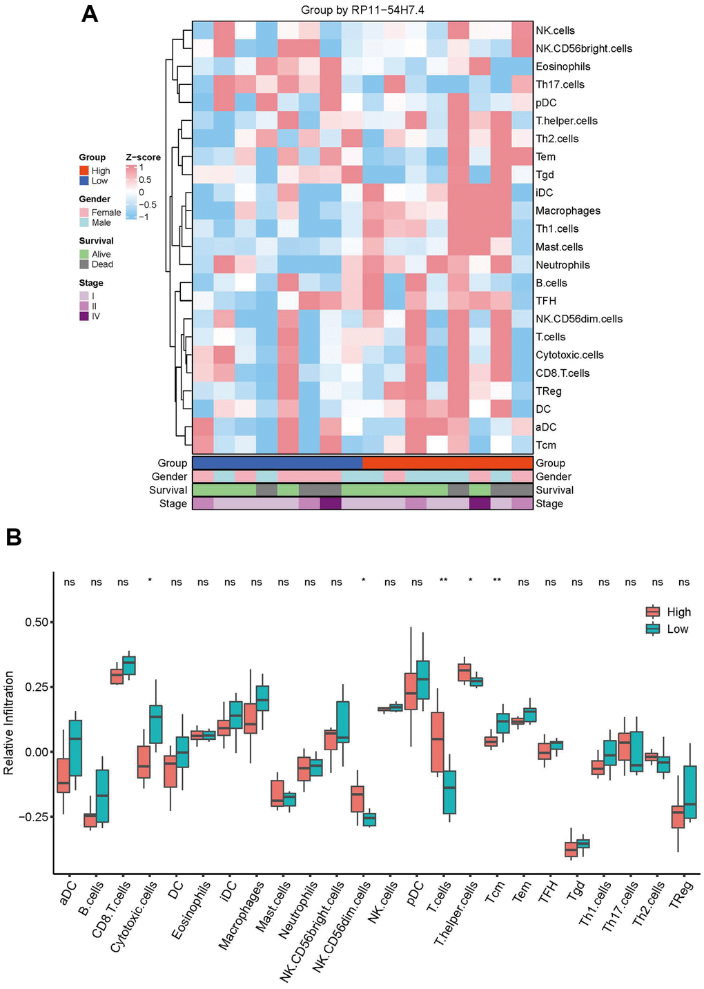 Correlation between immune cell infiltration and AL161431.1 expression. (A) Infiltration abundance of 24 immune cells in CCA samples was calculated by ssGSEA algorithm and transformed the sample-expression matrix into a sample-immune cell score matrix. (B) The abundance of 24 immune infiltrates in the high- AL161431.1 Expression and low- AL161431.1 Expression groups was compared by t-test. nsp ≥ 0.05, *p **p 