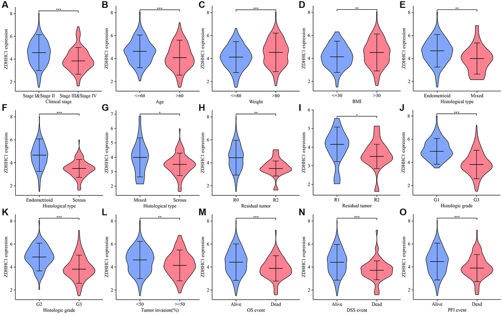 ZDHHC1 expression in UCEC tissues derived from TCGA database. (A) Tumor stage I–II vs. III–IV. (B) Age ≤60 vs. >60. (C) Weight ≤80 vs. >80. (D) BMI ≤30 vs. >30. (E) Endometrioid vs. mixed. (F) Endometrioid vs. serous. (G) Mixed vs. serous. (H) R0 vs. R2. (I) R1 vs. R2. (J) G1 vs. G3. (K) G2 vs. G3. (L) Tumor invasion (%) ≤50 vs. >50. (M–O) Alive vs. deceased. Abbreviations: UCEC: uterine corpus endometrial carcinoma; ZDHHC: zinc finger DHHC-type containing 1; TCGA: The Cancer Genome Atlas; BMI: body mass index; R0-R2: residual tumor; G1-G3: histopathologic grading.