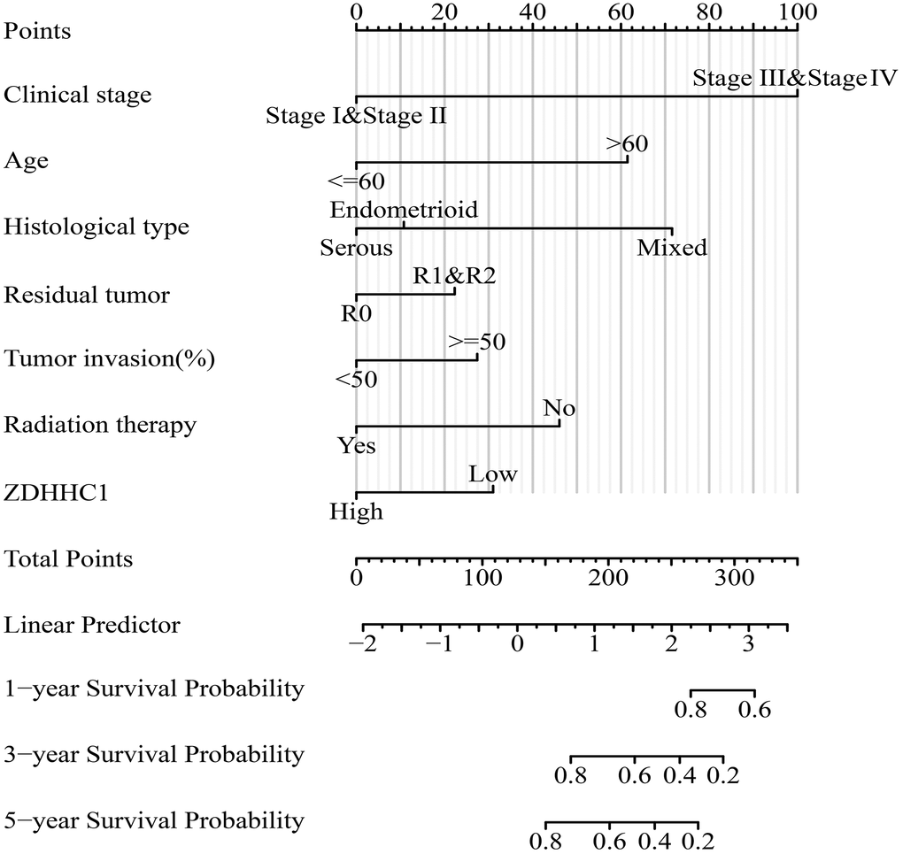 Prognostic nomogram based on ZDHHC1 expression and OS of patients with UCEC. Abbreviations: UCEC: uterine corpus endometrial carcinoma; ZDHHC1: zinc finger DHHC-type containing 1; OS: overall survival.