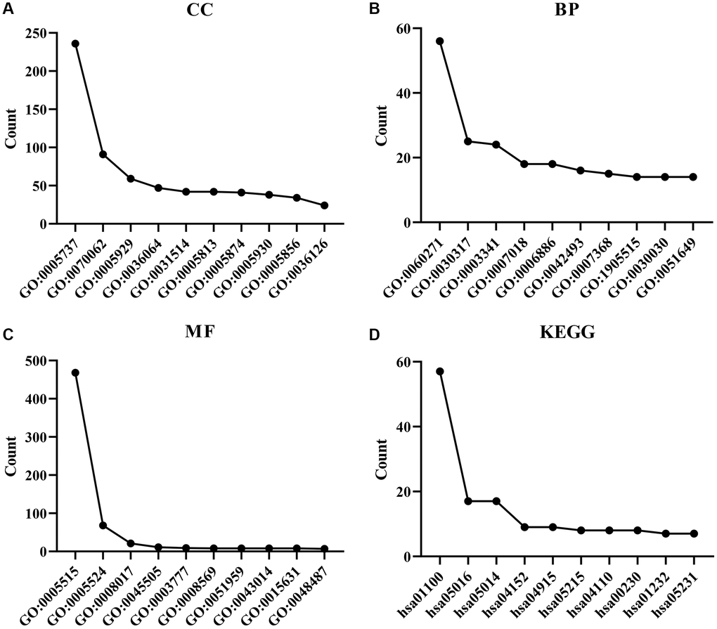 Functions and molecular pathways of ZDHHC1 co-expressed genes. (A–C) GO analysis. (D) Molecular pathways uncovered using KEGG analysis. Abbreviations: ZDHHC1: zinc finger DHHC-type containing 1; BP: biological process; KEGG: Kyoto Encyclopedia of Genes and Genomes; MF: molecular function; CC: cell component; GO: Gene Ontology.