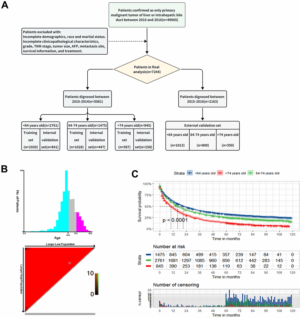 Study design and patient selection. (A) The study flow diagram. (B) The optimal age cut-off point for overall survival (OS) defined with X-tile software. (C) The Kaplan-Meier curve for overall survival among the low, middle and old age groups.