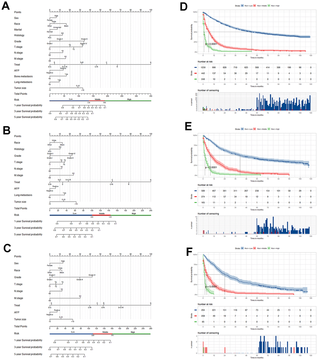 Nomogram of prognosis prediction in primary liver cancer patients (PLCs). Nomogram for predicting the overall survival (OS) of PLC patients in the low- (A), middle- (B) and old- (C) age group, respectively. Kaplan-Meier curves for OS among the low-risk, middle-risk, and high-risk groups stratified according to the Nomo-score in the low- (D), middle- (E) and old- (F) age group, respectively.
