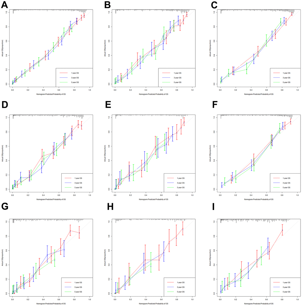 The calibration curves based on nomogram. The calibration curves based on nomogram in the training, internal and external validation set of low-age group (A–C), middle-age group (D–F) and old-age group (G–I).
