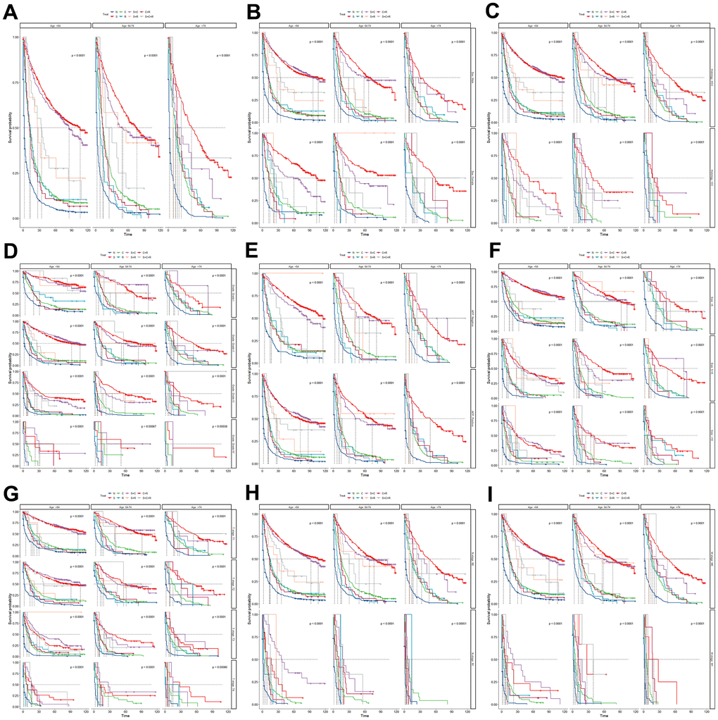 The Kaplan-Meier curve for overall survival (OS) among different treatments in three age groups (A) and further subgroup analysis in the sex (B), site (C), grade (D), AFP (E), tumor size (F), T stage (G), N stage (H) and M stage (I). N, no treatment; S, surgery alone; C, chemotherapy alone; R, radiation alone; S+C, surgery combined with chemotherapy; S+R, surgery combined with radiation; C+R, chemotherapy combined with radiation; and S+C+R, surgery combined with chemotherapy and radiation.