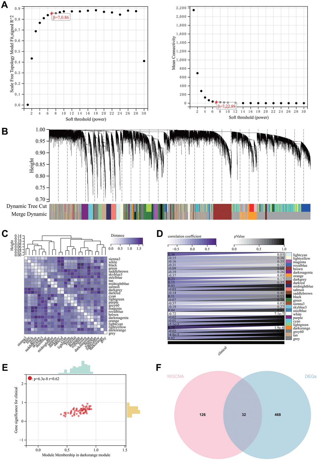 WGCNA. (A) β = 6,0.86. β = 6, 22.89. (B, C) The hierarchical clustering tree of all genes was constructed, and 25 important modules were generated. (D) The heat map of correlation between modules and phenotypes. (E) The scatter map of correlation between GS and MM of related hub genes. (F) The DEGs screened by WGCNA and DEGs were used to obtain Venn map. 32 intersection genes were obtained.