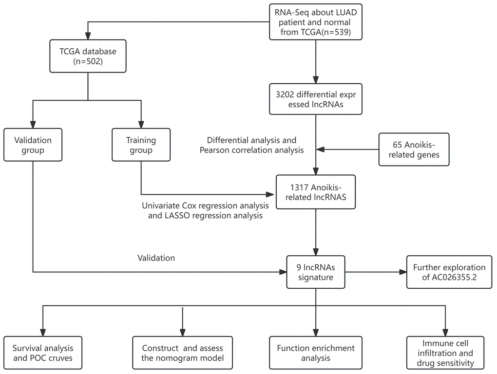 The flow overview of the study.