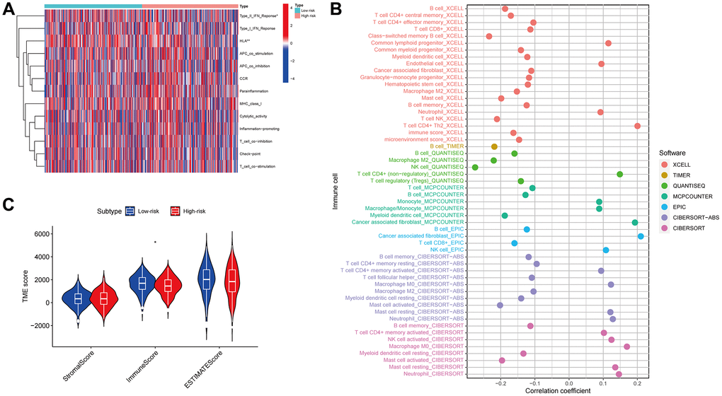 Immune function. Immunological functions of the high- and low-risk groups are depicted on the heatmap (A). The association of immune cells with the risk score (B). The correlation between the risk and TME scores (C).