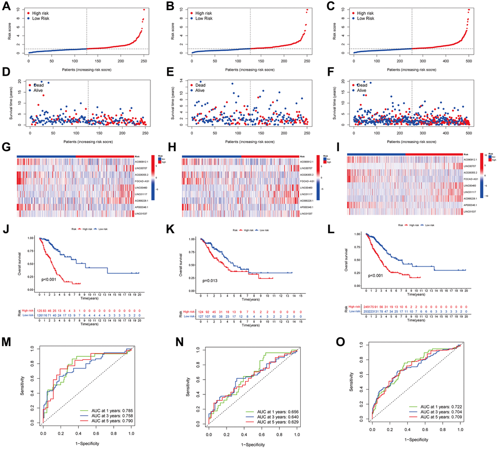 Predicting the performance of characteristics. The distribution of LUAD patients with varying risk scores in the training, testing, and entire sets is shown by the risk curves (A–C). The training, test, and entire set survival statuses of patients with differing risk scores (D–F). lncRNA characteristics in various datasets are shown by the heatmap (G–I). The three groups—training, testing, and the entire groups—are demonstrated via K-M curves that illustrate the overall survival (OS) of LUAD patients (J–L). The ARLSig’s predictive power for 1, 3, and 5-year OS in LUAD patients was demonstrated by the time-dependent ROC curves (M–O).