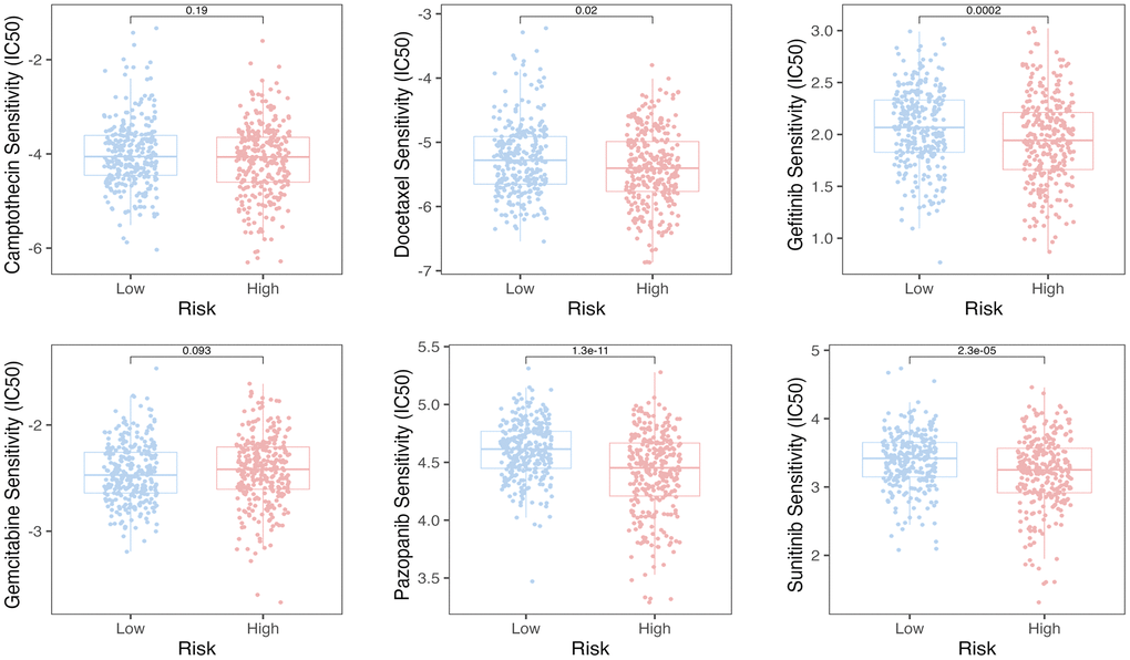 The pRRophetic algorithm predicted the IC50 values for six anti-cancer drugs.