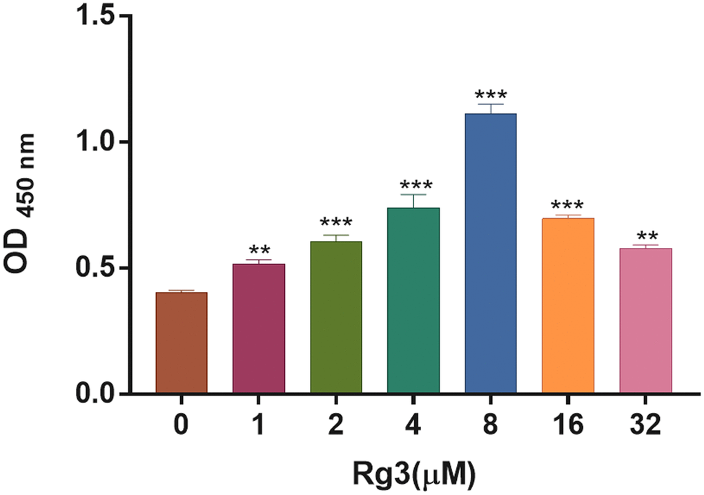 Screening of appropriate Rg3 concentration in SV40 MES 13. CCK-8 was conducted to confirm the change of cell proliferation in SV40 MES 13 after treating with 1, 2, 4, 8, 16, and 32 μM Rg3. **P ***P 