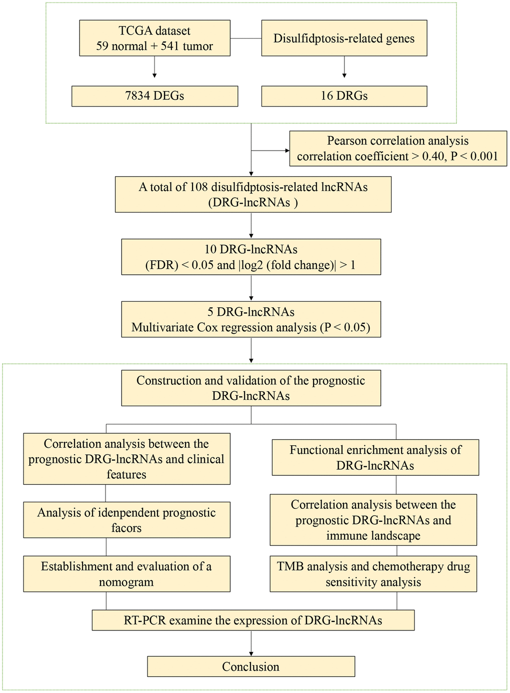 The flowchart of this study.
