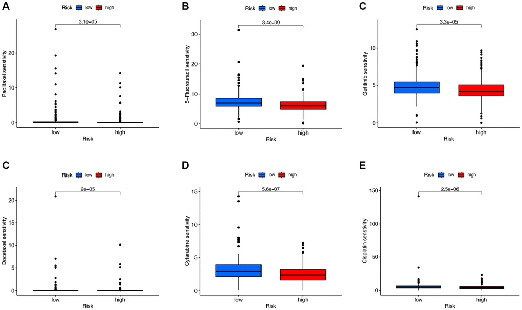 Analysis of chemotherapeutic drugs sensitivity. (A–E) Chemotherapeutic drugs sensitivity analysis of Paclitaxel, 5-Fluorouracil, Gefitinib, Docetaxel, Cytarabine, and Cisplatin in the low-risk and high-risk groups.