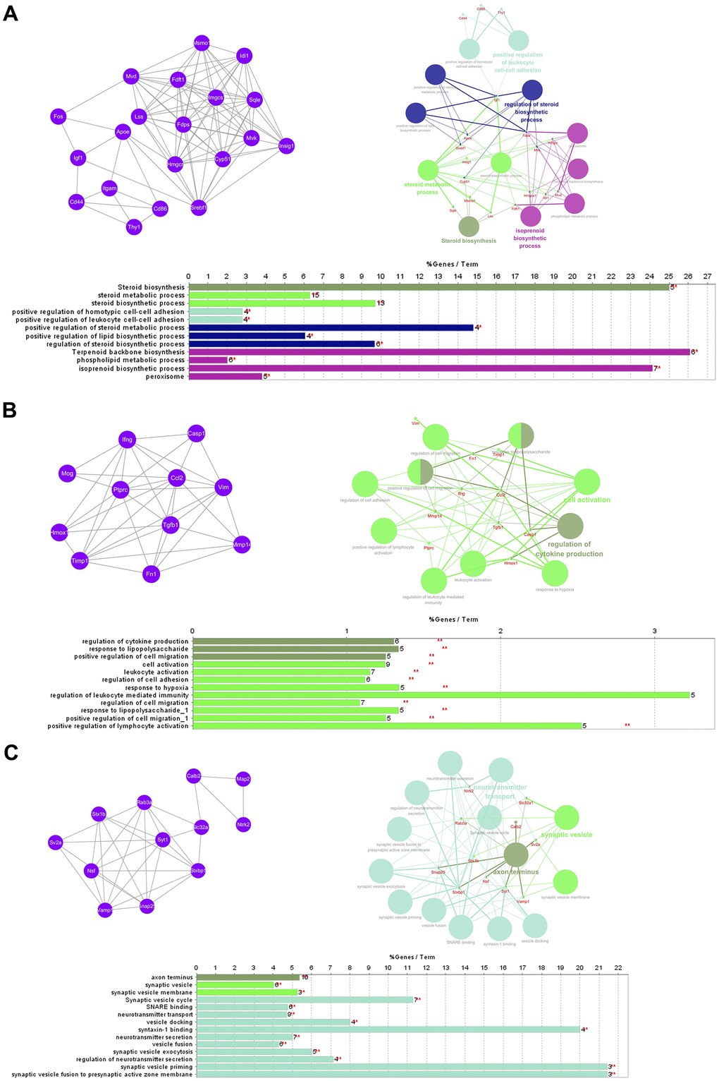 GO term and KEGG pathway enrichment analysis of the top 3 modules. (A) Module 1. (B) Module 2. (C) Module 3.