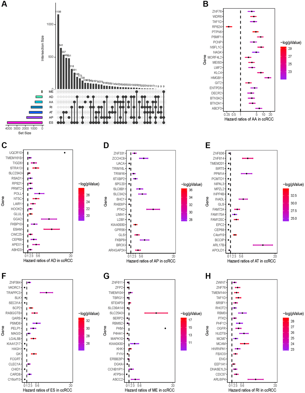 Prognosis-related AS events profiles. (A) Intersection UpSet plot of seven types of prognosis-related AS events in KIRC. (B–H) Forest plots of HRs of the top 20 prognostic-associated seven types of AS events. The color scale on the right side indicates the P-value.
