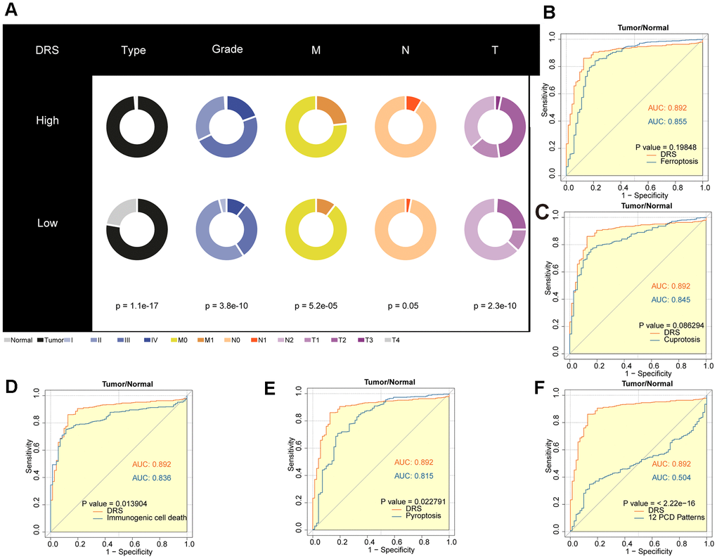 Diagnostic value analysis of the DRS in ccRCC. (A) Pie charts showing the chi-square test of clinicopathological factors for DRS in ccRCC. (B–F) AUC analysis of the DRS and other PCD-related models for distinguishing ccRCC from normal RCC. p  0.05 was considered statistically significant.