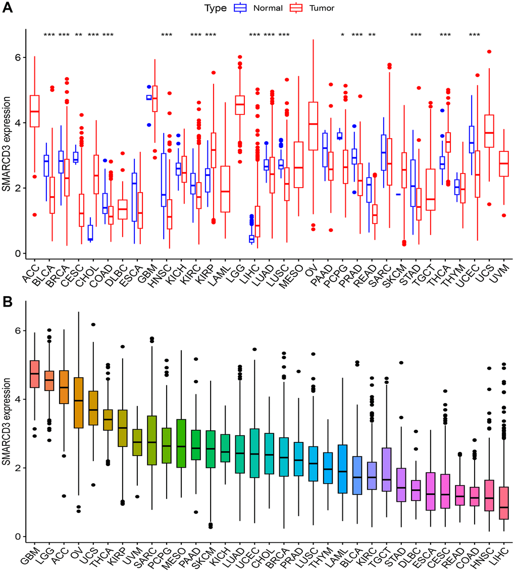 Expression of SMARCD3 in pan-cancer. (A) Expression difference of SMARCD3 between tumor samples and normal tissue; (B) Ranking of SMARCD3 expression in pan-cancer.