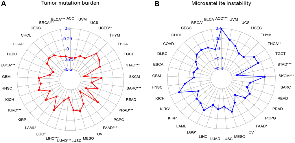Radar map of TMB versus MSI scores in pan-cancer. (A) Radar chart of TMB score; (B) Radar chart of MSI score.