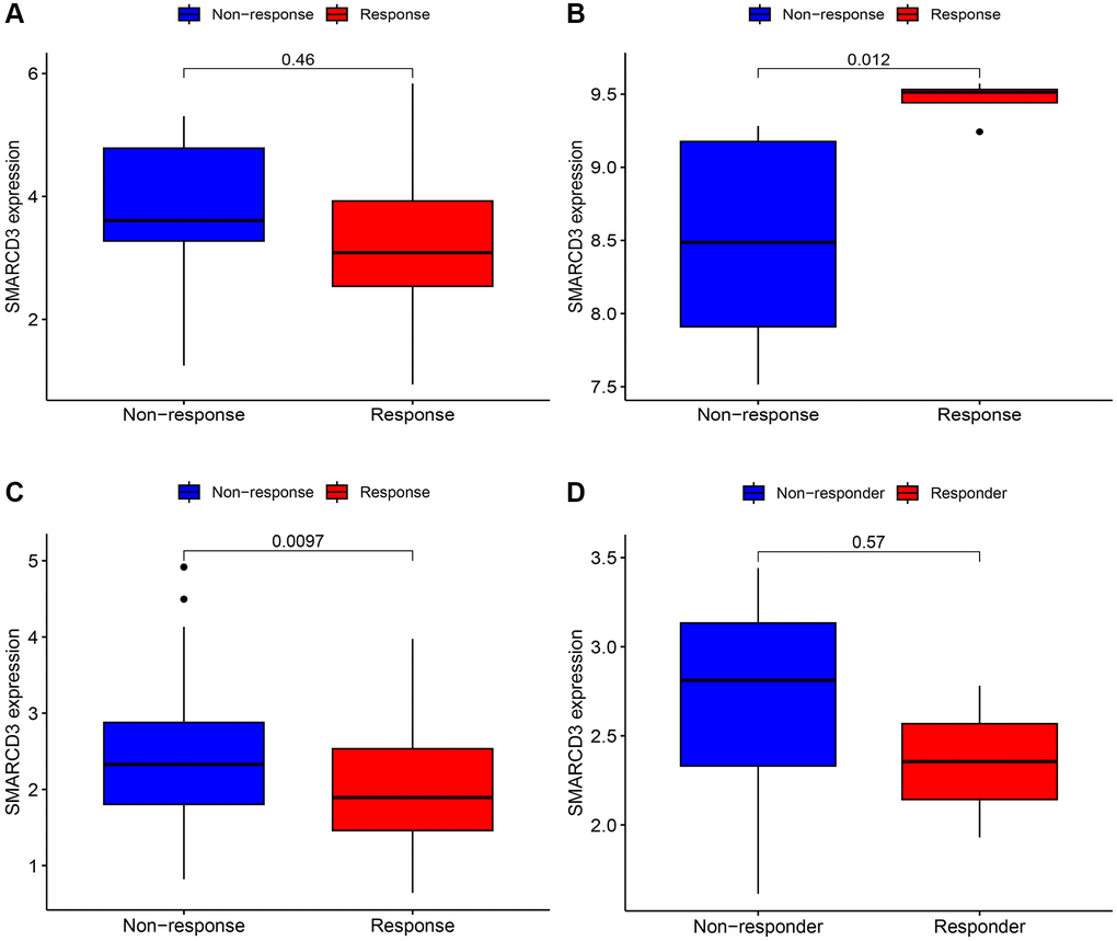 Immunotherapy analysis of SMARCD3 in three cohorts. (A) Immunotherapy analysis of SMARCD3 in the GSE78220 cohort; (B) Immunotherapy analysis of SMARCD3 in the GSE67501 cohort; (C) Immunotherapy analysis of SMARCD3 in the IMvigor210 cohort. (D) Immunotherapy analysis of SMARCD3 in the GSE126044 cohort.