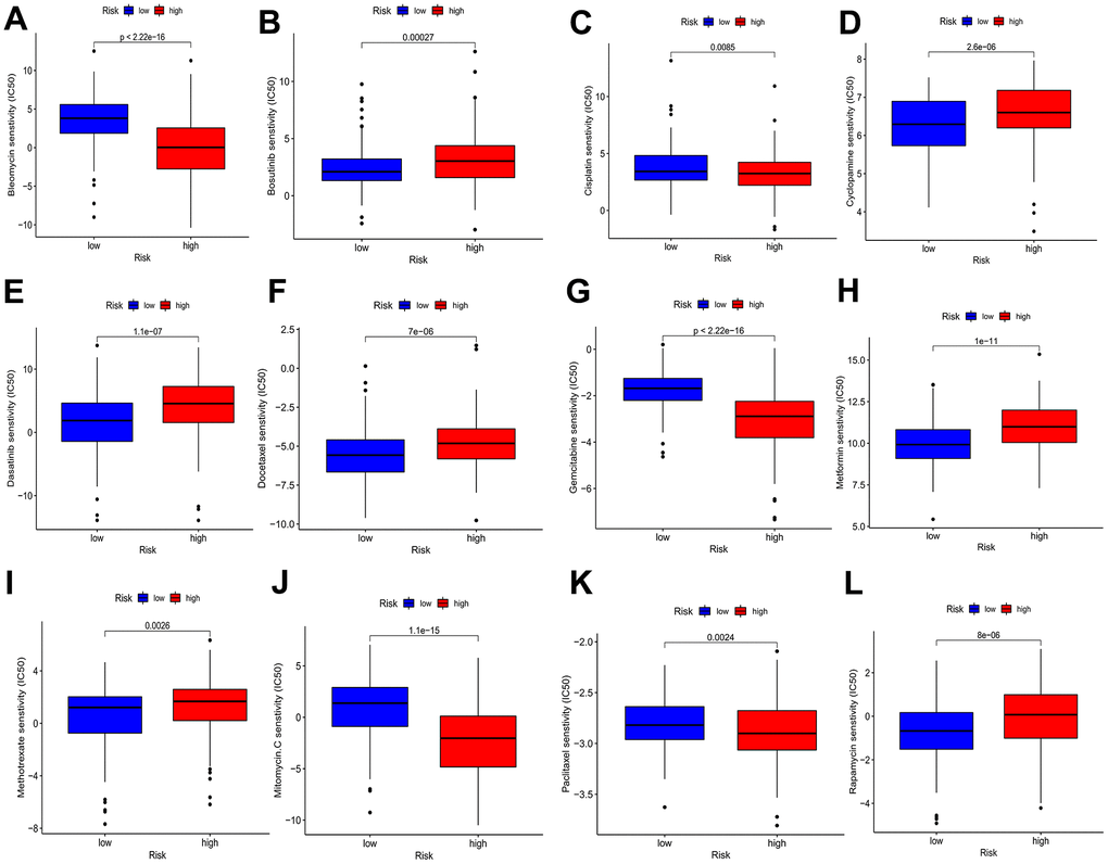 Drug sensitivity analyses among high- and low-risk categories. (A) Estimated IC50 of bleomycin in the elevated-risk category were lower than in the decreased-risk category. (B) Estimated IC50 of bosutinib in the elevated-risk category were higher than in the decreased-risk category. (C) Estimated IC50 of cisplatin in the elevated-risk category were lower than in the decreased-risk category. (D, E, F) Estimated IC50 of cyclopamine, dasatinib and docetaxel in the elevated-risk category were higher than in the decreased-risk category. (G) Estimated IC50 of gemcitabine in the elevated-risk category were lower than in the decreased-risk category. (H, I) Estimated IC50 of metformin and methotrexate in the elevated-risk category were higher than in the decreased-risk category. (J, K) Estimated IC50 of mitomycin C and paclitaxel in the elevated-risk category were lower than in the decreased-risk category. (L) Estimated IC50 of rapamycin in the elevated-risk category were higher than in the decreased-risk category.