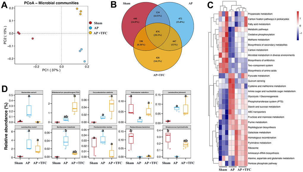 TFC regulates the gut microorganisms of AP rats. (A) PCoA analysis was performed; (B) core OTUs Venn was performed; (C) Clustering heat map was performed to analyze gut microorganisms difference; (D) Top 10 difference gut microorganisms were analyzed.