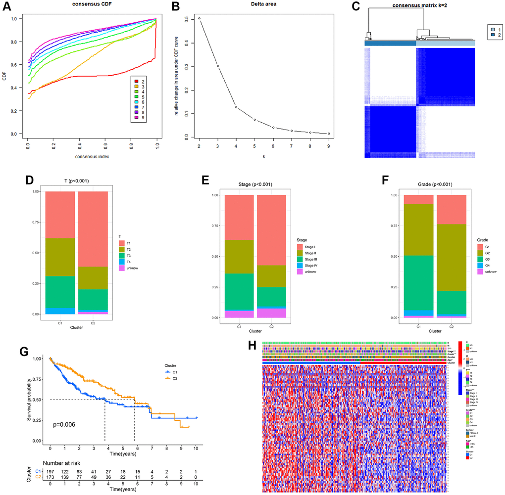 Clinical pathology and prognostic value of two distinct subgroups of patients divided by consistent clustering. (A) Consensus CDF in consistent clustering (k = 2–9). (B) Delta area curve of consensus clustering. (C) Consensus clustering matrix. (D–F) Differences in clinical pathology features between the two clusters. C1, cluster 1; C2, cluster 2. (G) Kaplan–Meier (K–M) survival analysis of the three subgroups. (H) Heatmap of DEG expression profiles in three subgroups.